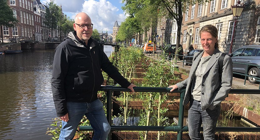 Nieuwe natuur langs de kademuur